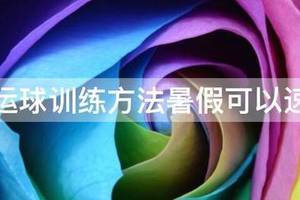 美式篮球十五种运球训练教学方法